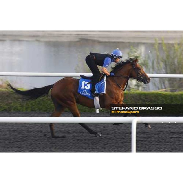 Emerald Commander working at Al Quoz during the Godolphin Media Morning Dubai - Al Quoz, 24th march 2010 ph. Stefano Grasso