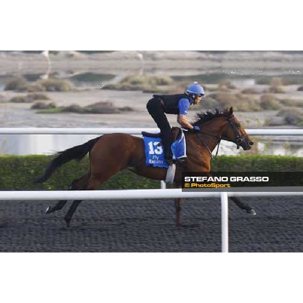 Emerald Commander working at Al Quoz during the Godolphin Media Morning Dubai - Al Quoz, 24th march 2010 ph. Stefano Grasso