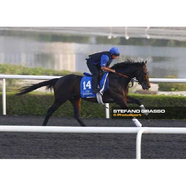 Al Zir working at Al Quoz during the Godolphin Media Morning Dubai - Al Quoz, 24th march 2010 ph. Stefano Grasso