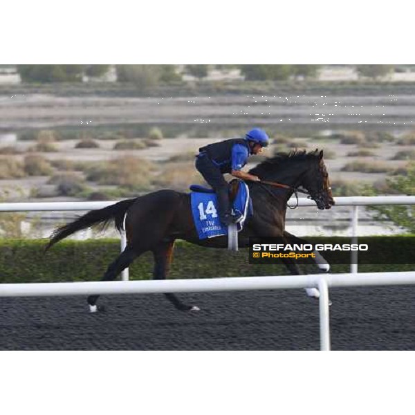 Al Zir working at Al Quoz during the Godolphin Media Morning Dubai - Al Quoz, 24th march 2010 ph. Stefano Grasso