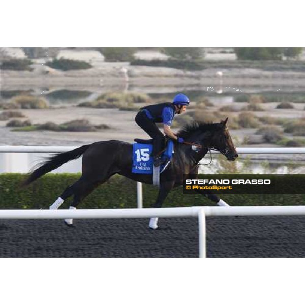 Bab Al Shams working at Al Quoz during the Godolphin Media Morning Dubai - Al Quoz, 24th march 2010 ph. Stefano Grasso