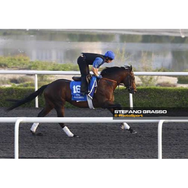 Mutafajer working at Al Quoz during the Godolphin Media Morning Dubai - Al Quoz, 24th march 2010 ph. Stefano Grasso