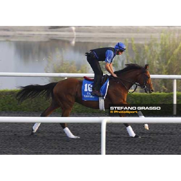 Balius working at Al Quoz during the Godolphin Media Morning Dubai - Al Quoz, 24th march 2010 ph. Stefano Grasso