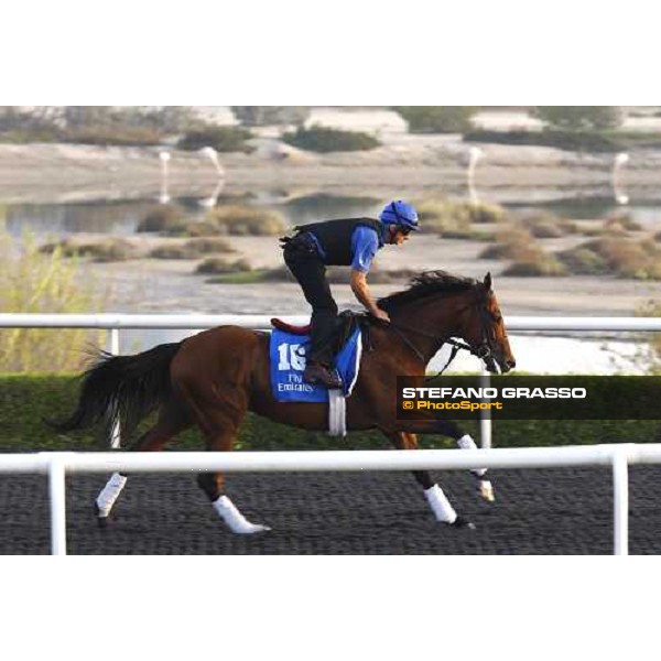 Balius working at Al Quoz during the Godolphin Media Morning Dubai - Al Quoz, 24th march 2010 ph. Stefano Grasso