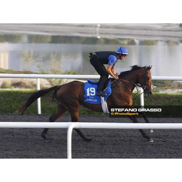 Fravashi working at Al Quoz during the Godolphin Media Morning Dubai - Al Quoz, 24th march 2010 ph. Stefano Grasso