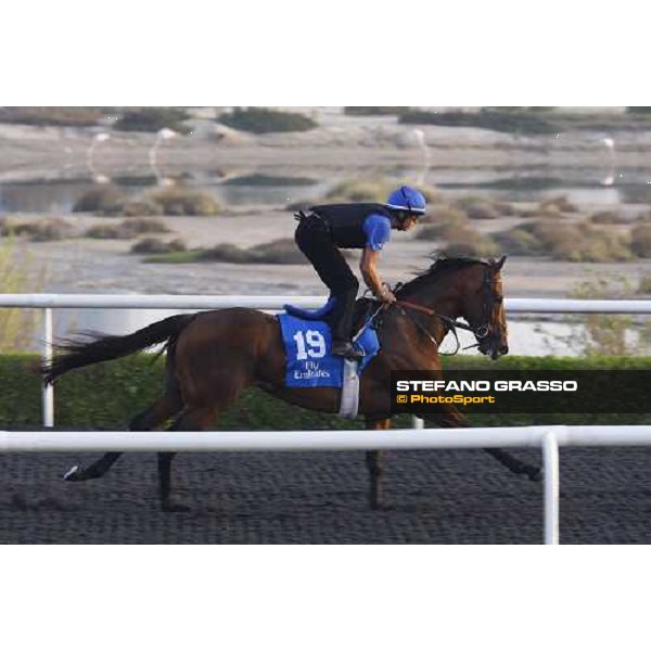 Fravashi working at Al Quoz during the Godolphin Media Morning Dubai - Al Quoz, 24th march 2010 ph. Stefano Grasso