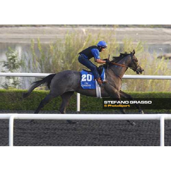 Wedding March working at Al Quoz during the Godolphin Media Morning Dubai - Al Quoz, 24th march 2010 ph. Stefano Grasso