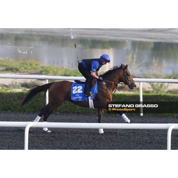 Anhar working at Al Quoz during the Godolphin Media Morning Dubai - Al Quoz, 24th march 2010 ph. Stefano Grasso