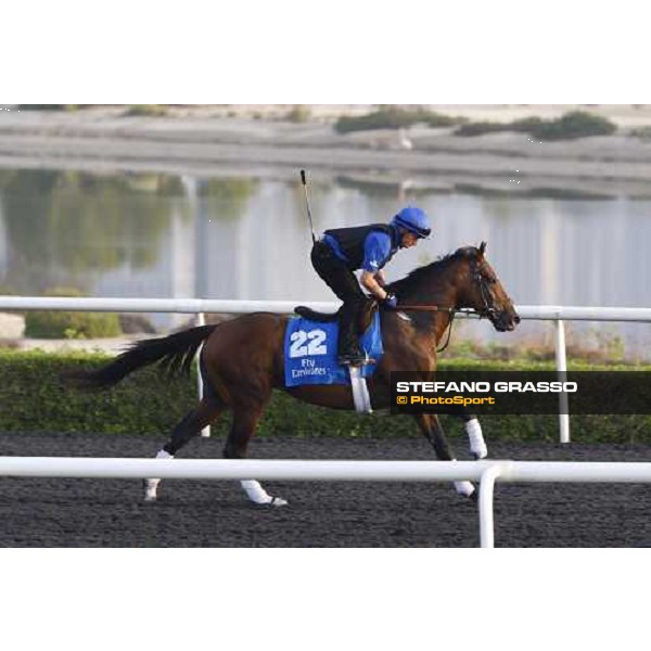 Anhar working at Al Quoz during the Godolphin Media Morning Dubai - Al Quoz, 24th march 2010 ph. Stefano Grasso