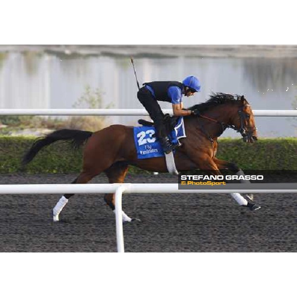 Emirates Dream working at Al Quoz during the Godolphin Media Morning Dubai - Al Quoz, 24th march 2010 ph. Stefano Grasso
