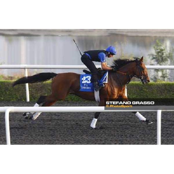 Emirates Dream working at Al Quoz during the Godolphin Media Morning Dubai - Al Quoz, 24th march 2010 ph. Stefano Grasso