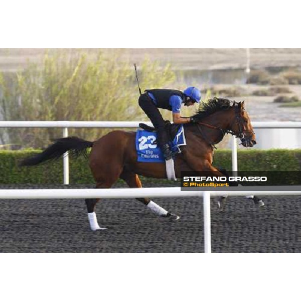 Emirates Dream working at Al Quoz during the Godolphin Media Morning Dubai - Al Quoz, 24th march 2010 ph. Stefano Grasso