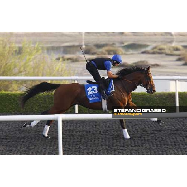 Emirates Dream working at Al Quoz during the Godolphin Media Morning Dubai - Al Quoz, 24th march 2010 ph. Stefano Grasso