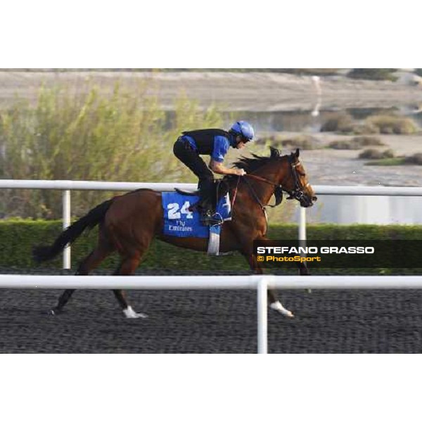 House of Grace working at Al Quoz during the Godolphin Media Morning Dubai - Al Quoz, 24th march 2010 ph. Stefano Grasso
