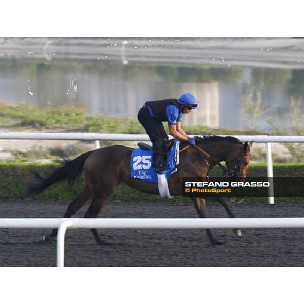 Hibaayeb working at Al Quoz during the Godolphin Media Morning Dubai - Al Quoz, 24th march 2010 ph. Stefano Grasso
