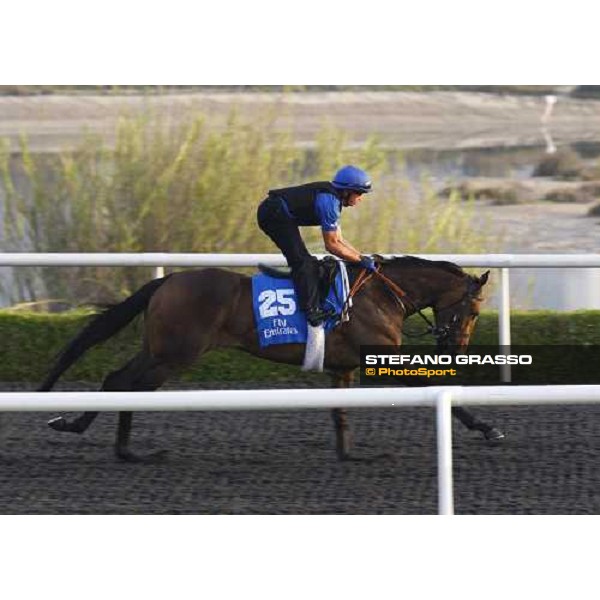 Hibaayeb working at Al Quoz during the Godolphin Media Morning Dubai - Al Quoz, 24th march 2010 ph. Stefano Grasso