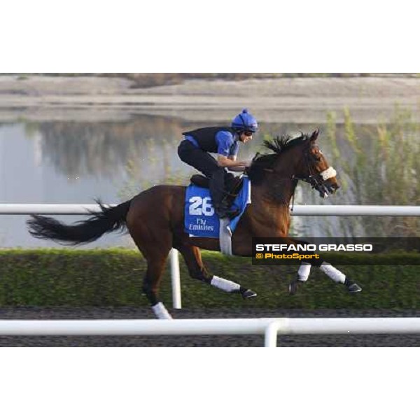 Long Lashes working at Al Quoz during the Godolphin Media Morning Dubai - Al Quoz, 24th march 2010 ph. Stefano Grasso