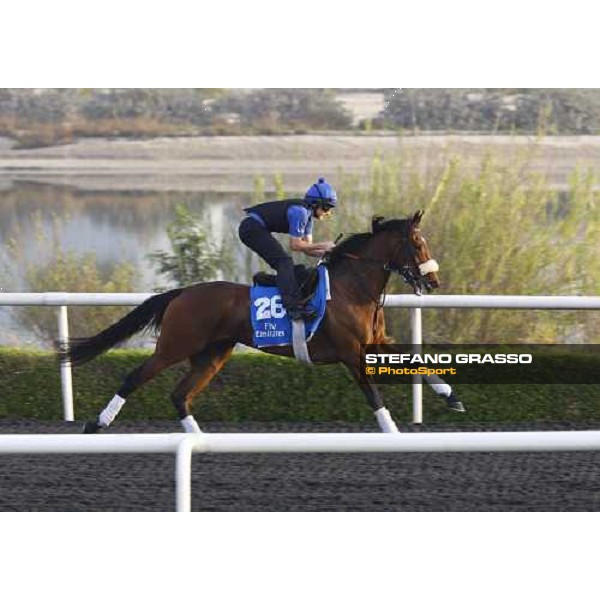 Long Lashes working at Al Quoz during the Godolphin Media Morning Dubai - Al Quoz, 24th march 2010 ph. Stefano Grasso