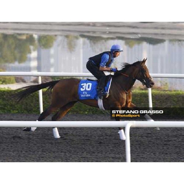 Nafura working at Al Quoz during the Godolphin Media Morning Dubai - Al Quoz, 24th march 2010 ph. Stefano Grasso