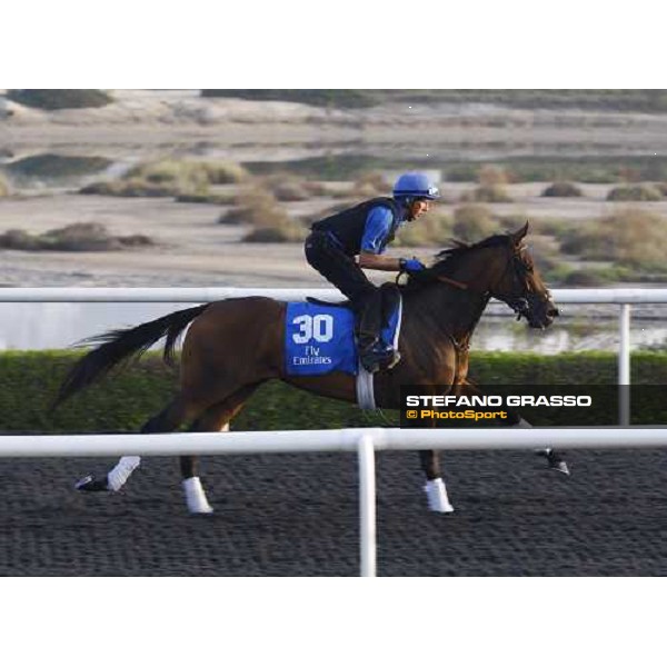 Nafura working at Al Quoz during the Godolphin Media Morning Dubai - Al Quoz, 24th march 2010 ph. Stefano Grasso