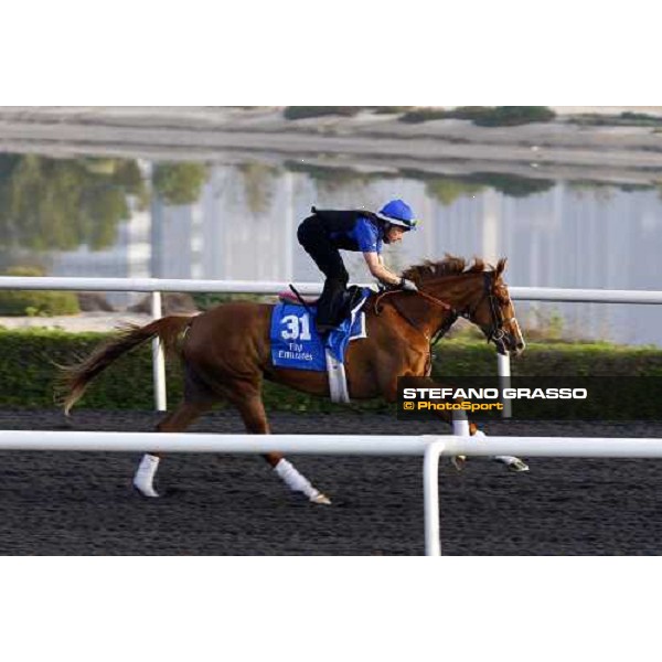 Hudoo working at Al Quoz during the Godolphin Media Morning Dubai - Al Quoz, 24th march 2010 ph. Stefano Grasso