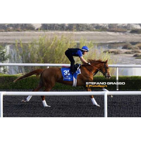 Hudoo working at Al Quoz during the Godolphin Media Morning Dubai - Al Quoz, 24th march 2010 ph. Stefano Grasso