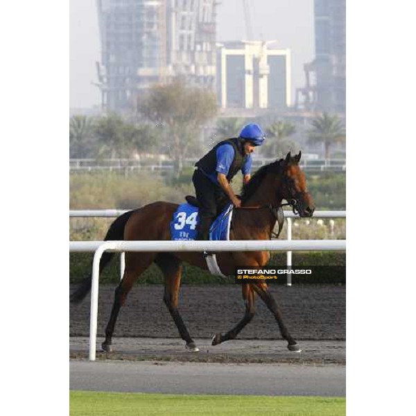Sabotage working at Al Quoz during the Godolphin Media Morning Dubai - Al Quoz, 24th march 2010 ph. Stefano Grasso