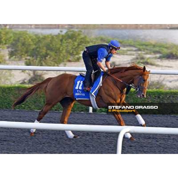 Rio de la Plata during morning track works at Al Quoz Dubai - Al Quoz, 24th march 2010 ph. Stefano Grasso