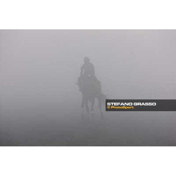 morning trak works in a foggy day at 5.45 am Dubai - Meydan, 25th march 2010 ph. Stefano Grasso