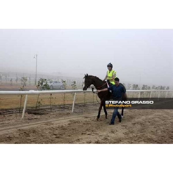 Marco Botti walks back to the stable with Gitano Hernando after a canter Dubai - Meydan, 25th march 2010 ph. Stefano Grasso