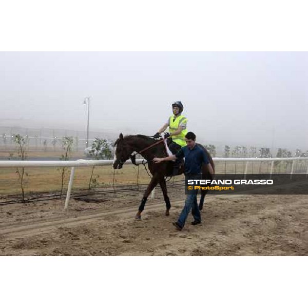 Marco Botti walks back to the stable with Gitano Hernando after a canter Dubai - Meydan, 25th march 2010 ph. Stefano Grasso