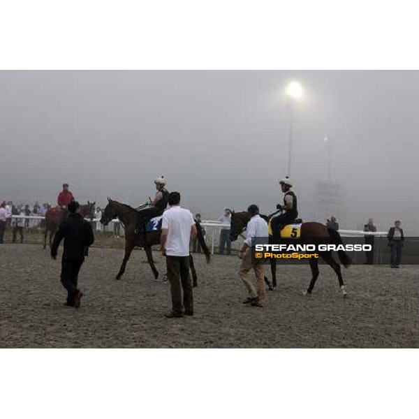 Luca and Matteo Cumani watching Presvis and Summit Surge after a canter Dubai - Meydan, 25th march 2010 ph. Stefano Grasso