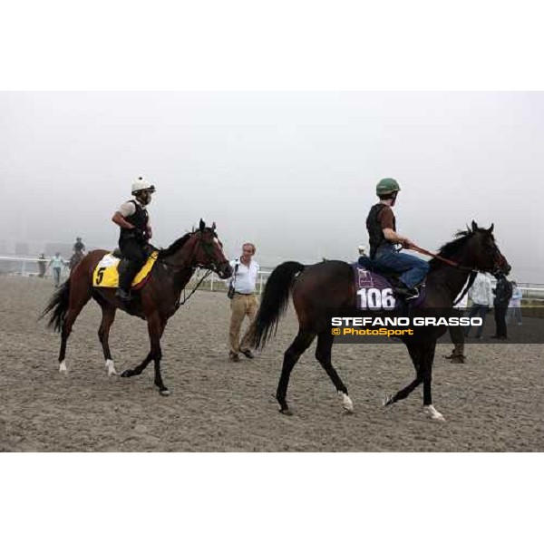 Luca Cumani watching Presvis after a canter Dubai - Meydan, 25th march 2010 ph. Stefano Grasso