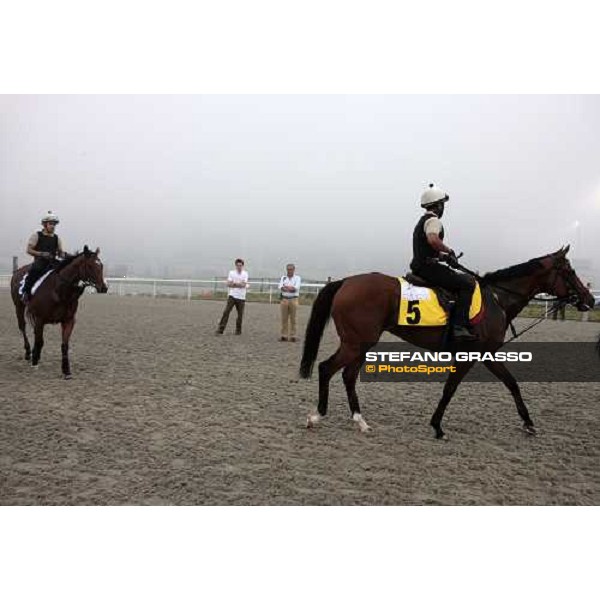 Luca and Matteo Cumani watching Presvis and summit Surge after a canter Dubai - Meydan, 25th march 2010 ph. Stefano Grasso
