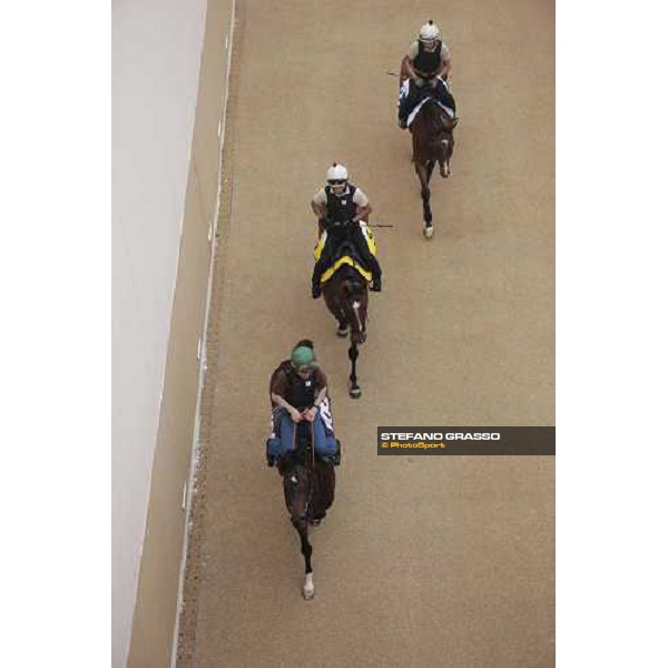 Presvis and Summit Surge walk back home after a canter Dubai - Meydan, 25th march 2010 ph. Stefano Grasso