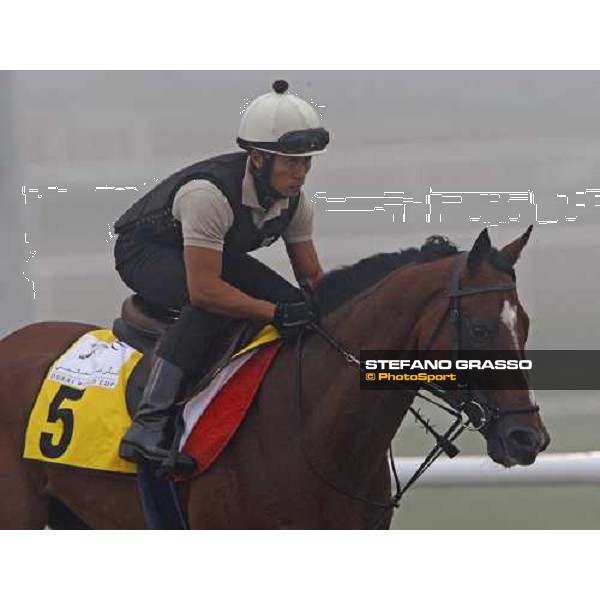 Presvis during morning trackworks Dubai - Meydan, 25th march 2010 ph. Stefano Grasso