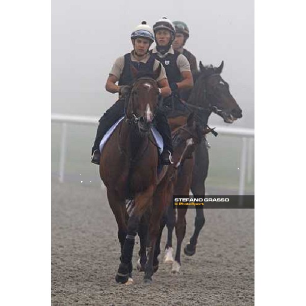 Summit Surge and Presvis return back home after morning trackworks Dubai - Meydan, 25th march 2010 ph. Stefano Grasso