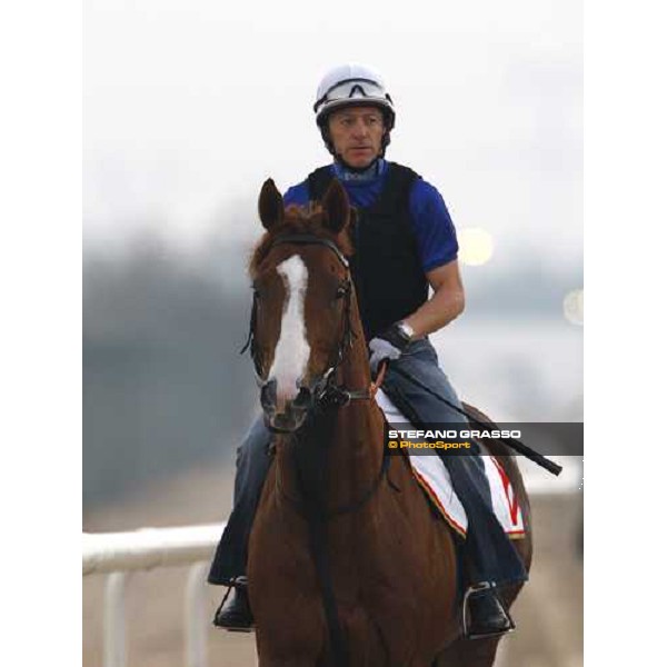 Kieren Fallon on Gitano Hernando leads goesw to the main track for morning track works. Dubai - Meydan, 26th march 2010 ph. Stefano Grasso