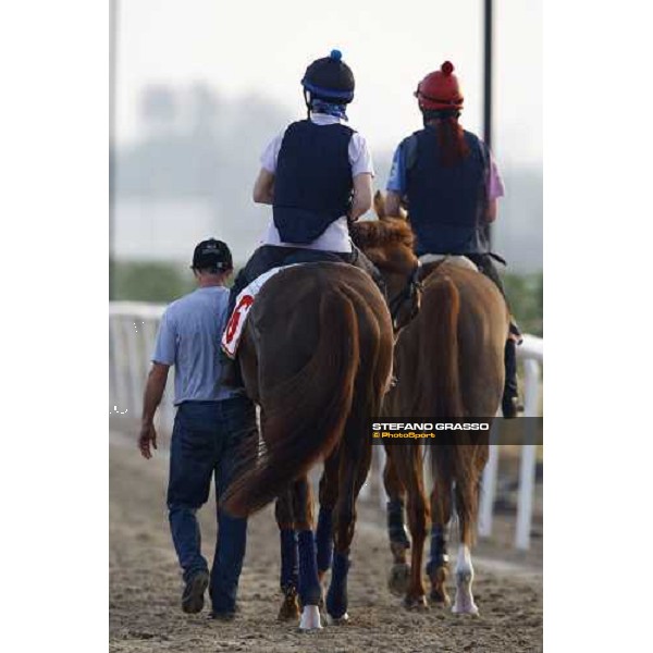 Gitano Hernando returns home after the morning track works. Dubai - Meydan, 26th march 2010 ph. Stefano Grasso