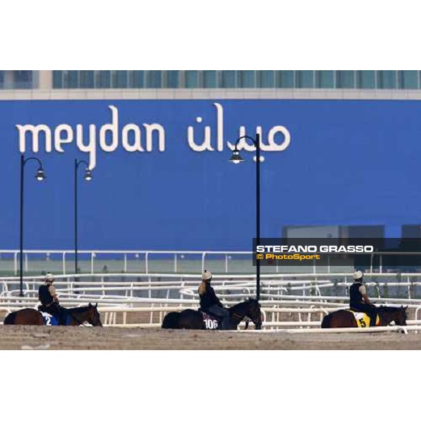 Presvis and Summir Surge going for morning track works. Dubai - Meydan, 26th march 2010 ph. Stefano Grasso