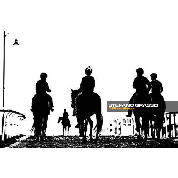 a group of horses return back home after morning track works. Dubai - Meydan, 26th march 2010 ph. Stefano Grasso