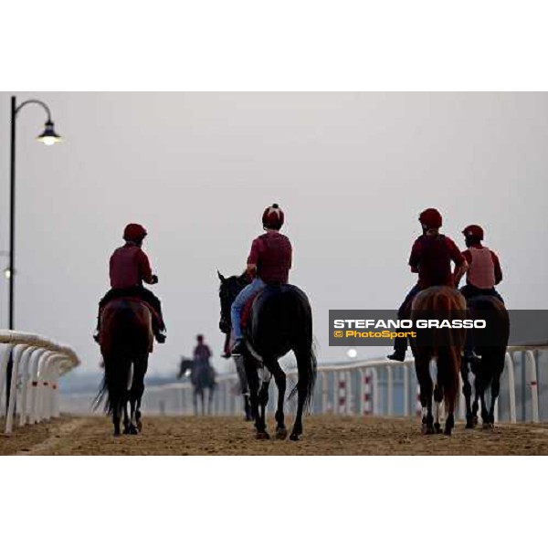 a group of horses return home after morning track works. Dubai - Meydan, 26th march 2010 ph. Stefano Grasso