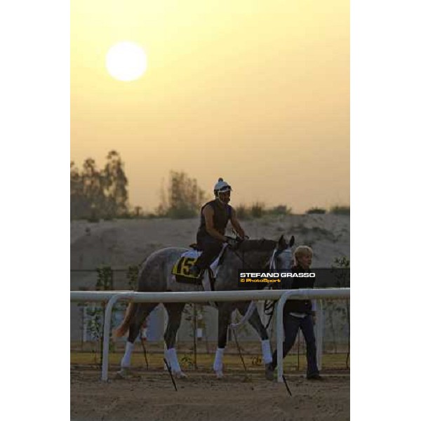 Take the point goes for the morning track works. Dubai - Meydan, 26th march 2010 ph. Stefano Grasso