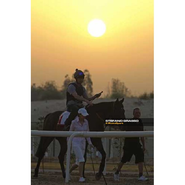 Twice Over goes to the track at sunrise for his morning track works. Dubai - Meydan, 26th march 2010 ph. Stefano Grasso