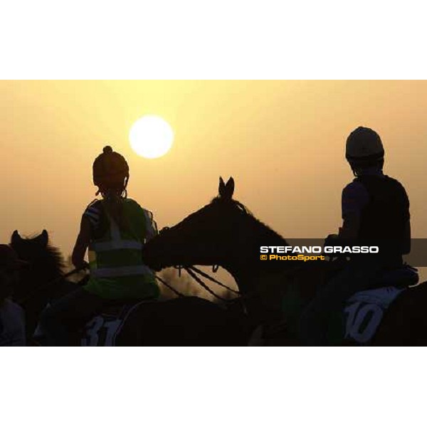 Dar Re Mi and Terrific Challenge return home after morning track works. Dubai - Meydan, 26th march 2010 ph. Stefano Grasso
