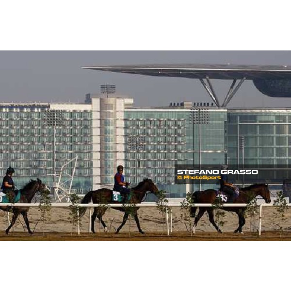 Judd Street, Youmzain and Jukebox Jury return home after morning track works. Dubai - Meydan, 26th march 2010 ph. Stefano Grasso