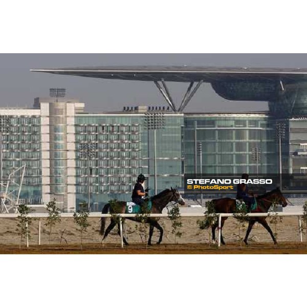 Youmzain and Jukebox Jury return home after morning track works. Dubai - Meydan, 26th march 2010 ph. Stefano Grasso