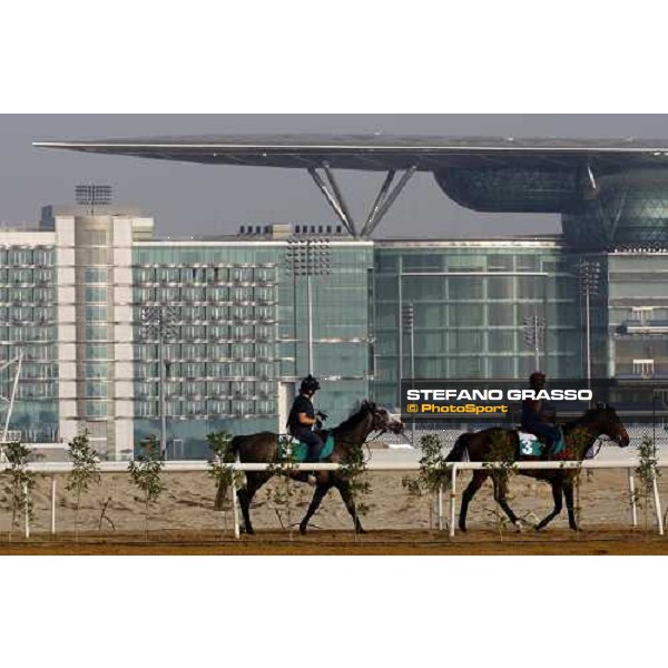 Youmzain and Jukebox Jury return home after morning track works. Dubai - Meydan, 26th march 2010 ph. Stefano Grasso