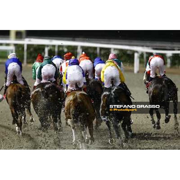 the runners of the Dubai World Cup on the first bend Dubai - Meydan, 26th march 2010 ph. Stefano Grasso