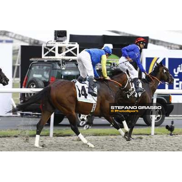 Ahmed Ajtebi -Calming Influence - Godolphin Mile Dubai - Meydan, 27th march 2010 ph. Stefano Grasso